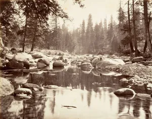 American Landscape Images Drucke: Merced River, ca. 1872, printed ca. 1876. Creator: Attributed to Carleton E. Watkins