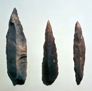 Stone Age Tools Drucke: Mesolithic Microliths
