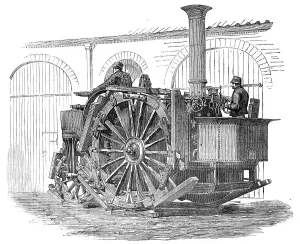 Black And White Farm Animals Drucke: Messrs. Tuxford's Traction-Engine