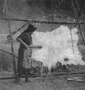 Female Artisan At Work Drucke: Method of scraping hide for softening