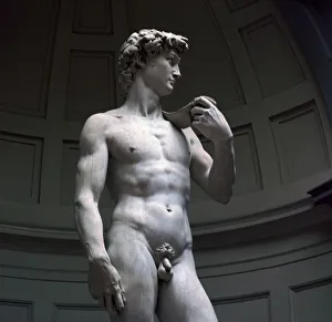 Drucke von Der Michelangelo-David im Museo dell'Accademia von Florenz Michelangelo Buonarroti Drucke: Der Michaelangelo-David, Künstler: Michelangelo Buonarroti