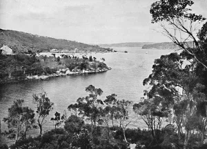 Sydney Aerial View Drucke: Middle Harbour, from Spit Road, c1900. Creator: Unknown
