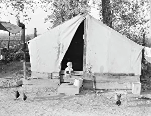 Great Depression Era Housing Drucke: Migratory orange picker's camp, Exeter, California, 1936. Creator: Dorothea Lange