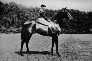 Minoru, 1911