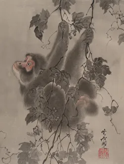 Kawanabe Kyosai Paintings Drucke: Monkey Hanging from Grapevines, ca. 1887. Creator: Kawanabe Kyosai