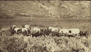 Charles Williams Drucke: Mormoner Auswandererzug in Echo Canyon um 1870 von Charles William Carter