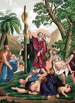 Jewish Heritage Pictures Drucke: Moses and the brazen serpent, c1860