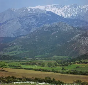 Rural Greece Photography Drucke: Mount Parnassus in Greece