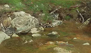 Heritage Art In America Drucke: Mountain Brook: A Study, between c1863 and 1869. Creator: Alexander Helwig Wyant