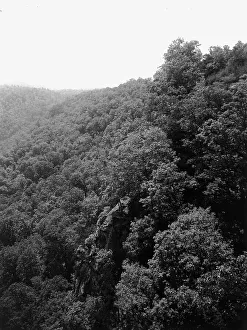 Black And White Mountain Landscape Drucke: Mountainside with trees, between 1900 and 1920. Creator: Unknown