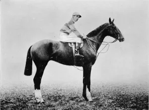 Monochrome Horses Drucke: Neil Gow, 1911