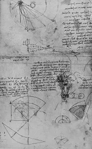Black And White Horse Illustrations Drucke: Notes on Astronomy and Study of a Horses Head, c1480 (1945). Artist: Leonardo da Vinci