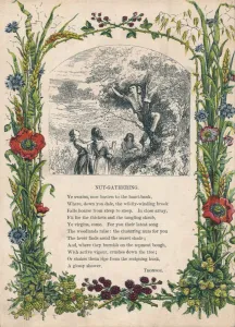 Vintage Nature Photography Drucke: Nut-Gathering, by Thomson, c1900