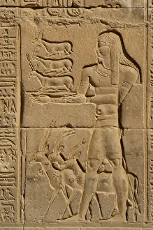 Hand Carved Stone Sculpture Drucke: Offerer relief, Temple of Kom Ombo
