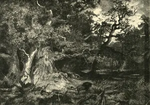 Edmund Ollier Engraving Drucke: An Old German Forest, 1890. Creator: Unknown