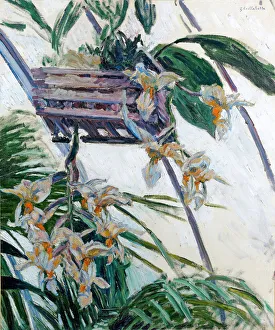 Gustave Caillebotte Art Drucke: Orchids, 1893