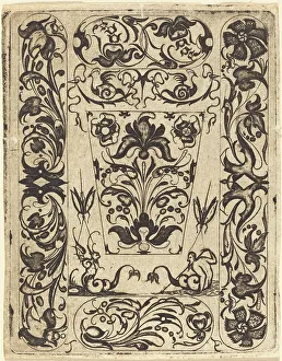 Historic Insect Illustrations Drucke: Ornament. Creator: Master T.F