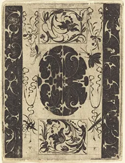 Historic Insect Depiction Drucke: Ornament. Creator: Master T.F