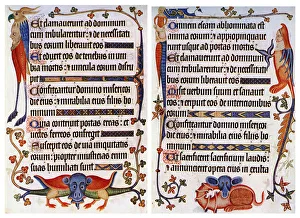 Mythische Biester Drucke: Seite aus illustriertem Text des Luttrell-Psalter