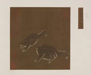 Ein Paar dreilegiger Frosche, Qing-Dynastie (Ming), 1368-1644. Schöpfer unbekannt