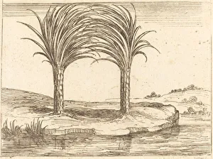 Zwei Palmenbäume, Künstler: Jacques Callot