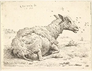 Teilweise geschnittenes Schaf liegt im Gras und umgeben von Insekten über seinem Kopf, 1655