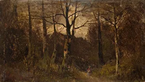 British School Painting Drucke: Path through a Wood, 1900. Creator: Unknown