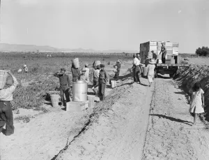 Fünfhundert Erntehelfer im Feld des großen Sinclair-Ranches nahe Calipatria, Kalifornien 1939. Künstlerin: Dorothea Lange