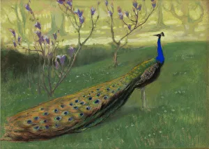 Kazimierz Stabrowski Biography Drucke: Peacock, after 1900