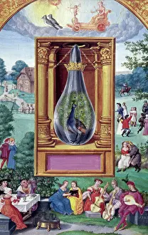 Die Regenbogenfeder des Pfau, 1582.