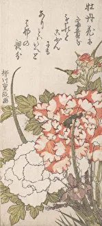 Paeonien und Iris, 18.-19.Jh. Ersteller: Yanagawa Shigemasa