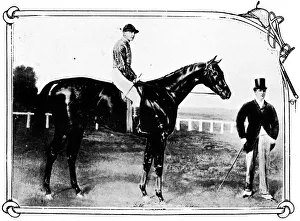British Sportsmen Drucke: Persimmon, 1911