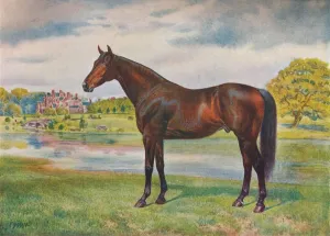 Horse Racing History UK Drucke: Persimmon, c1905 (c1910)