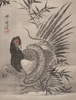 Heritage Animal Artwork Drucke: Pheasant Caught by a Snake, ca. 1887. Creator: Kawanabe Kyosai