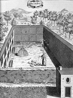 Black And White Agriculture Drucke: Pheasantry, 1775