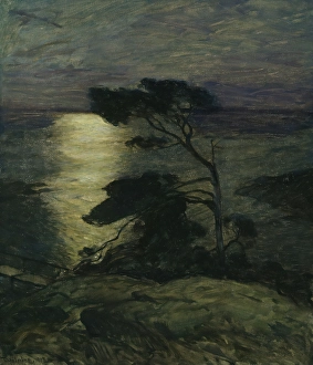 Coastal Landscape Art Drucke: Pine Tree on the Coast in Moonlight, 1902. Creator: Thorolf Holmboe