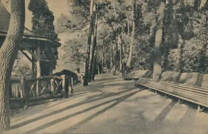 Dorset England Tourism Drucke: The Pine Walk, 1929