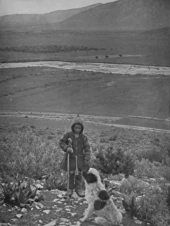 Western Asia Architecture Photos Drucke: The Plain of Marathon, 1913