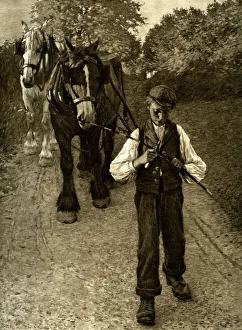 Monochrome Animal Photography Drucke: The Plough Boy, 1900
