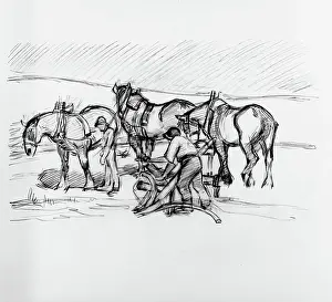 Agricultural Labourer Artwork Drucke: Ploughing on the Downs, c1907. Creator: Robert Polhill Bevan