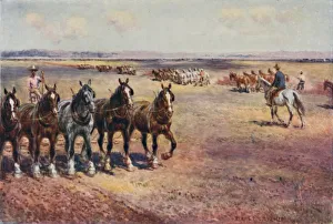 Horses In Agriculture Drucke: Ploughing on a Large Scale, 1923. Creator: Unknown