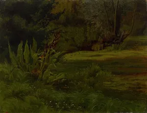 Finnish Forest Scenery Drucke: A pond in the forest, exercise, 1854. Creator: Werner Holmberg