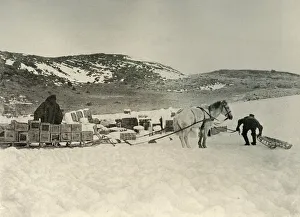 South Pole Exploration History Drucke: The Pont Quan About To Draw A Sledge Load of Stores, c1908, (1909)