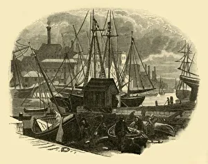 Sailing Ships In Harbour Drucke: Poole Harbour, 1898. Creator: Unknown