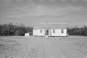 Möglicherweise: Projekt Röhrenkrautbahn, Holzbauer am Werk in Eatonton (Georgia), 1936. Ersteller: Walker Evans