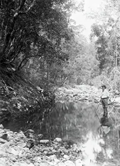 Möglicherweise Coomera River - Oberer Commera (Frederick John Walker), c1880s