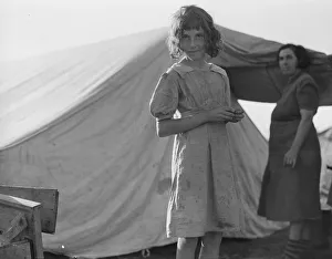 Möglicherweise ist es ein Wanderkind im Lager... Ein Picknickampf der Bohnenpflücker nahe West Stayton, Oregon, 1939. Ersteller: Dorothea Lange