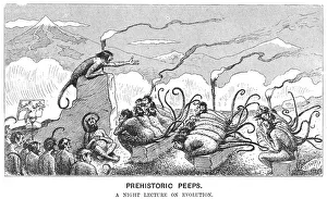 Frühgeschichtliche Puppen : Eine Nachmittagsvorlesung über Evolutionslehre , 1894 . Künstler : Edward Tennyson Reed