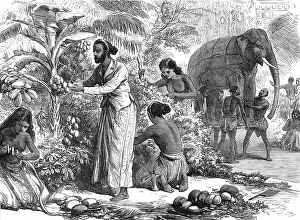 Vorbereitung der Dekorationen in Colombo, Ceylon, für den königlichen Besuch, aus einem Skizzen von einem... 1876. Künstler: Unbekannt.