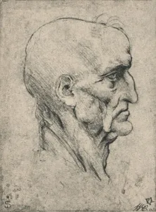 Porträt rechts vom grauen Kopf eines alten Mannes, um 1480 (1945). Künstler: Leonardo von Vinci
